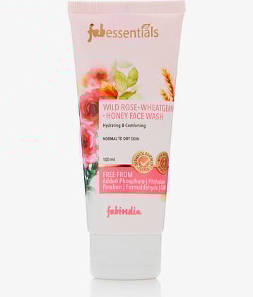 fabessentials - Daily Use Face Wash For All Skin Type ( Pack of 1 )