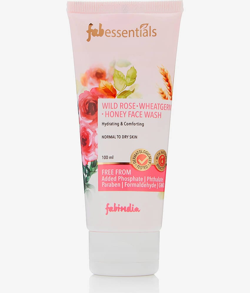 fabessentials - Daily Use Face Wash For All Skin Type ( Pack of 1 )
