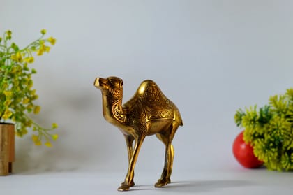 Brass Standing Camel Staue (Color - Golden, Size - 4H *5.5L*1.75B) by Snova Enterprises