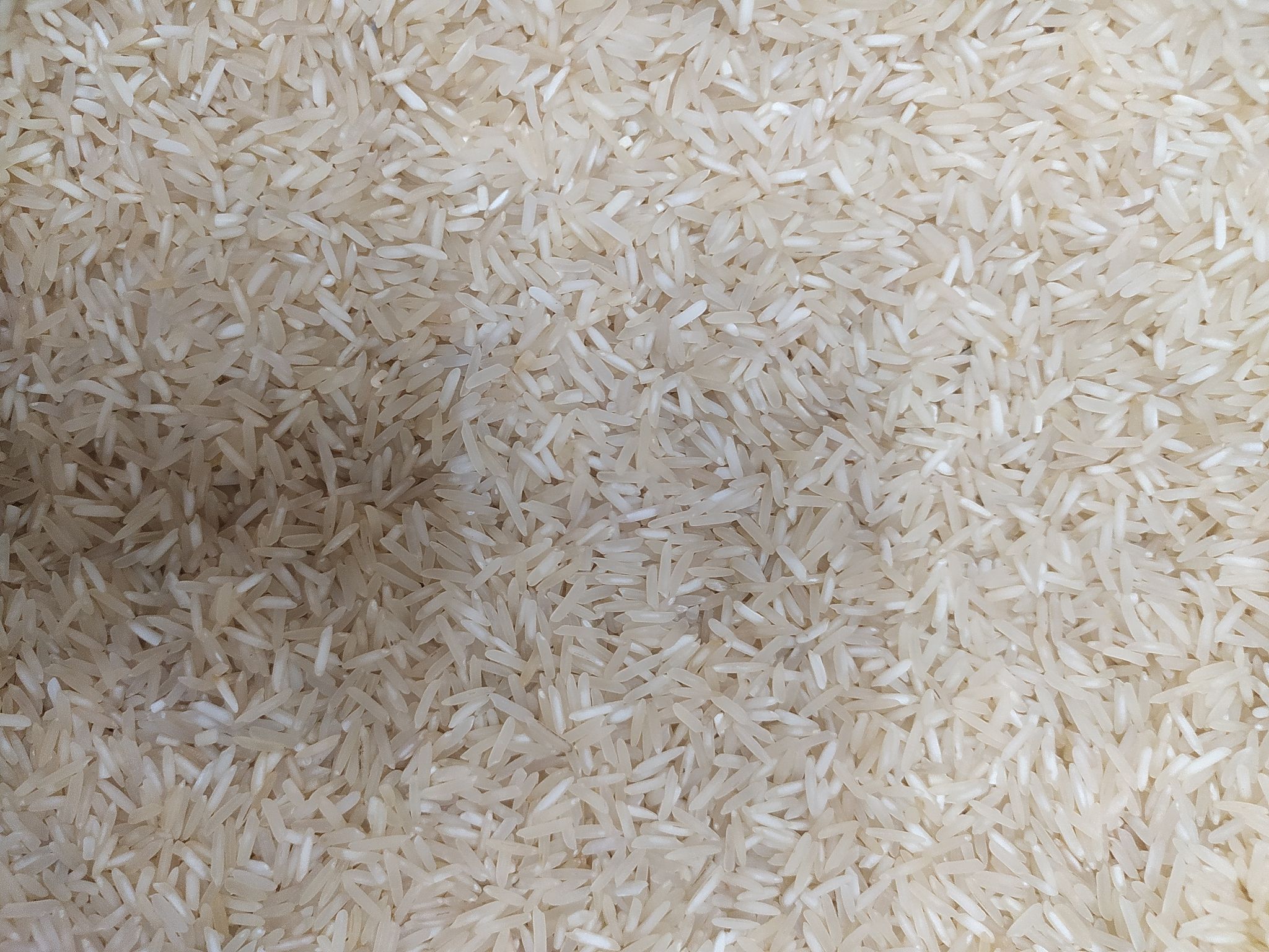 Basmati rice mini