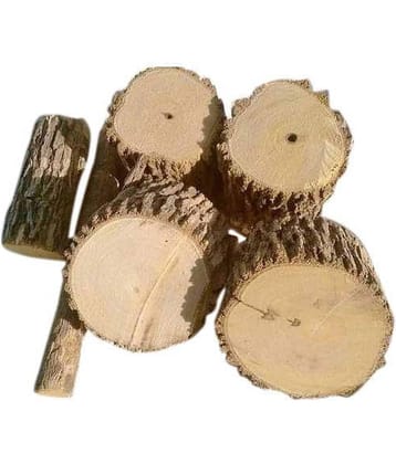 Nutrixia Food Arni Mool -Arni-Arani - Agnimanth - अरनी मूल - Clerodendrum Phlomidis 100 gm