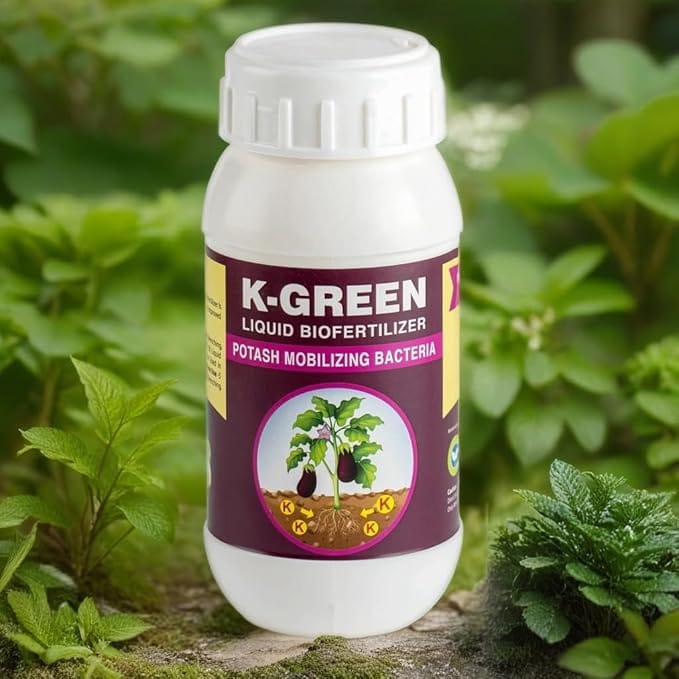 Plant Growth Promoter K Green 250 ml Potash Mobilizing Bacteria Biofertilizer for Best for Indoor Outdoor Plants pack Of 2