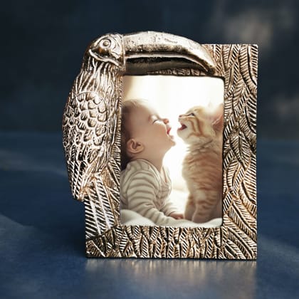 Toucan Photo Frame Gold