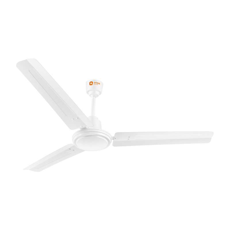 ... ...
