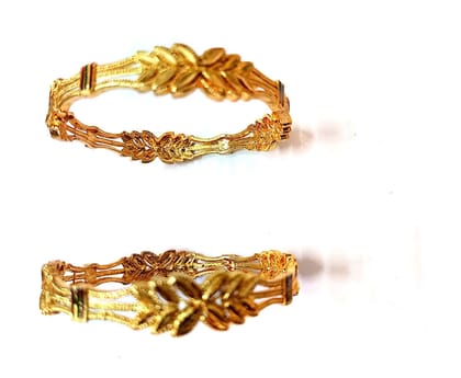 Elegant 1 Gram Gold Plated Bangles Set