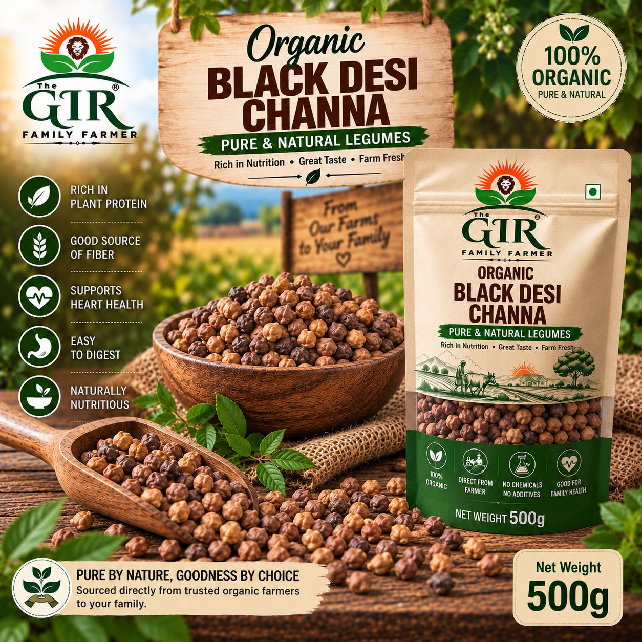 Organic Black Desi Chana | Naturally Grown Kala Chana | The GIR Family Farmer