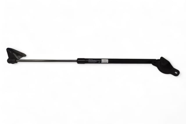 Maruti Suzuki Dicky Shocks - LH AV974373