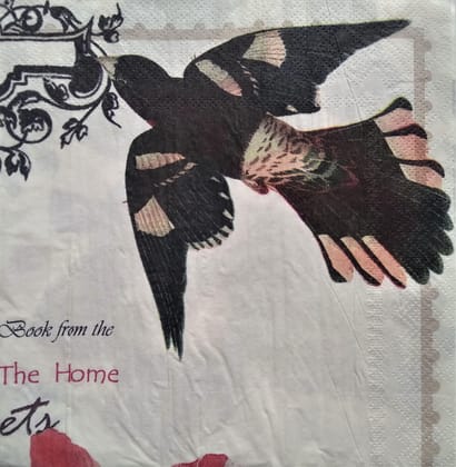 Decoupage Napkin / Tissue papers - GT2225