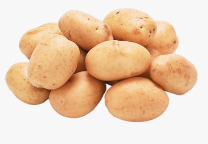 Potato