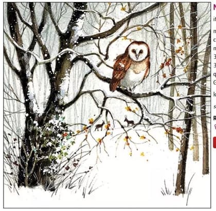 Decoupage Napkin / Tissue papers - GT2857