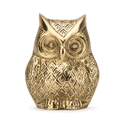 Owl - Sharpens the Vision