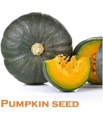 Hybrid Pumpkin Seeds ( 20 Seeds)