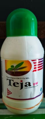 TEJA PLANT GROWTH REGULATORE