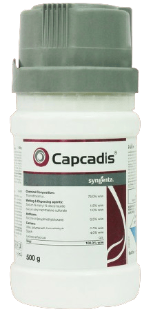 CAPCADIS