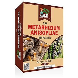 EBS Bio Metarhizium Anisopliae for Plants and Major Crops