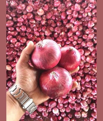 LiveNature Organic Red Onion Vegetable ( 1000 Seeds )