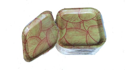 Premium Biodegradable Paper Plates Set of 100 Plates