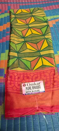 Brasso Saree with Embroidered Designs