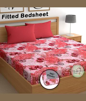 CG HOMES Cotton Abstract Fitted Fitted bedsheet with 2 Pillow Covers ( Double Bed ) - Pink