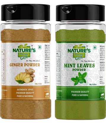 Natures Gift - 100 gm Ginger powder (Pack of 2)