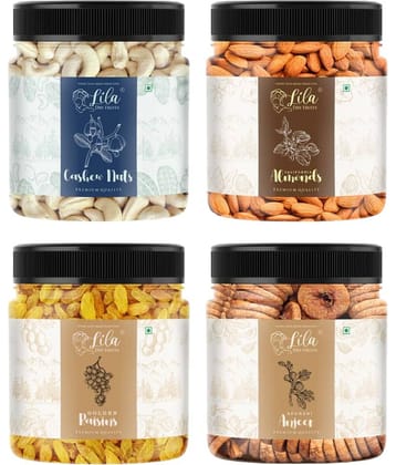 Lila Dry Fruits Combo (100 Gms x 4) Jar pack |Cashew Almond Fig Raisin