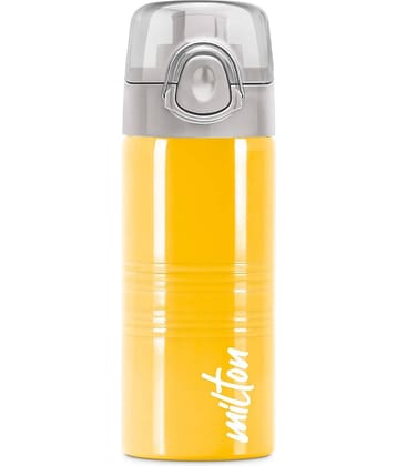 Milton Vogue 500 Stainless Steel Water Bottle, 490 ml, Purple