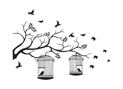 DreamKraft Decorative Black Tree with Birds and Cages PVC Vinly Wall Stickers (Multicolor, 115 cm X 155 cm)