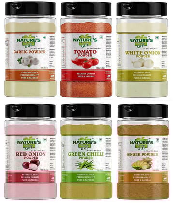Natures Gift Garlic, Ginger, Red Onion, Tomato, White Onion & Green Chilli Powder - 100 Gm Each (Super Saver Combo) Powder 600 gm Pack of 6