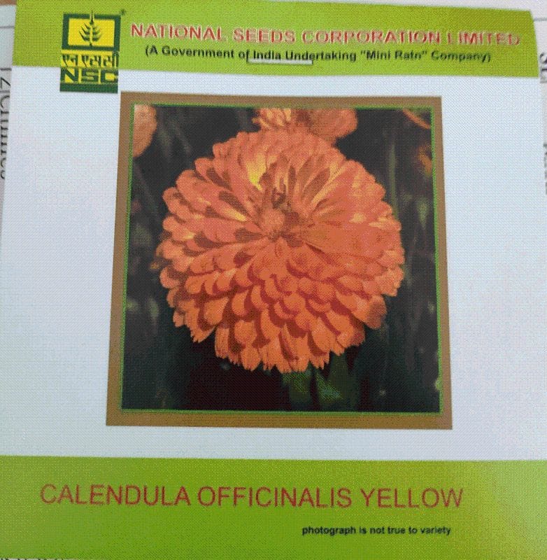 NSC Calendula Officinalis Orange Gitana Flower seed