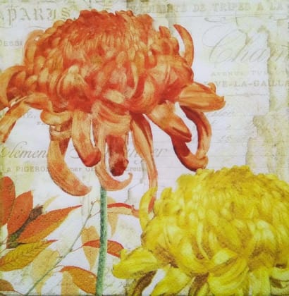 Decoupage Napkin / Tissue papers - GT1582 Decoupage Napkin / Tissue papers - GT1582