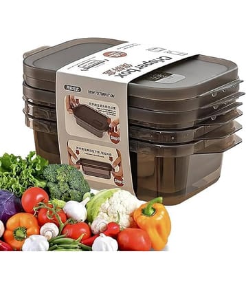 RAVISTRA FridgeSet1200 Plastic Brown Food Container ( Set of 6 )