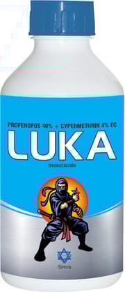 LUKA |Pack of 8