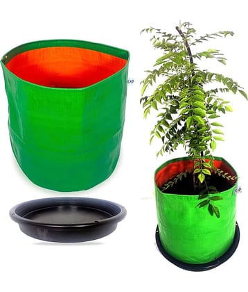 KAP - Plant container ( Pack of 4 )