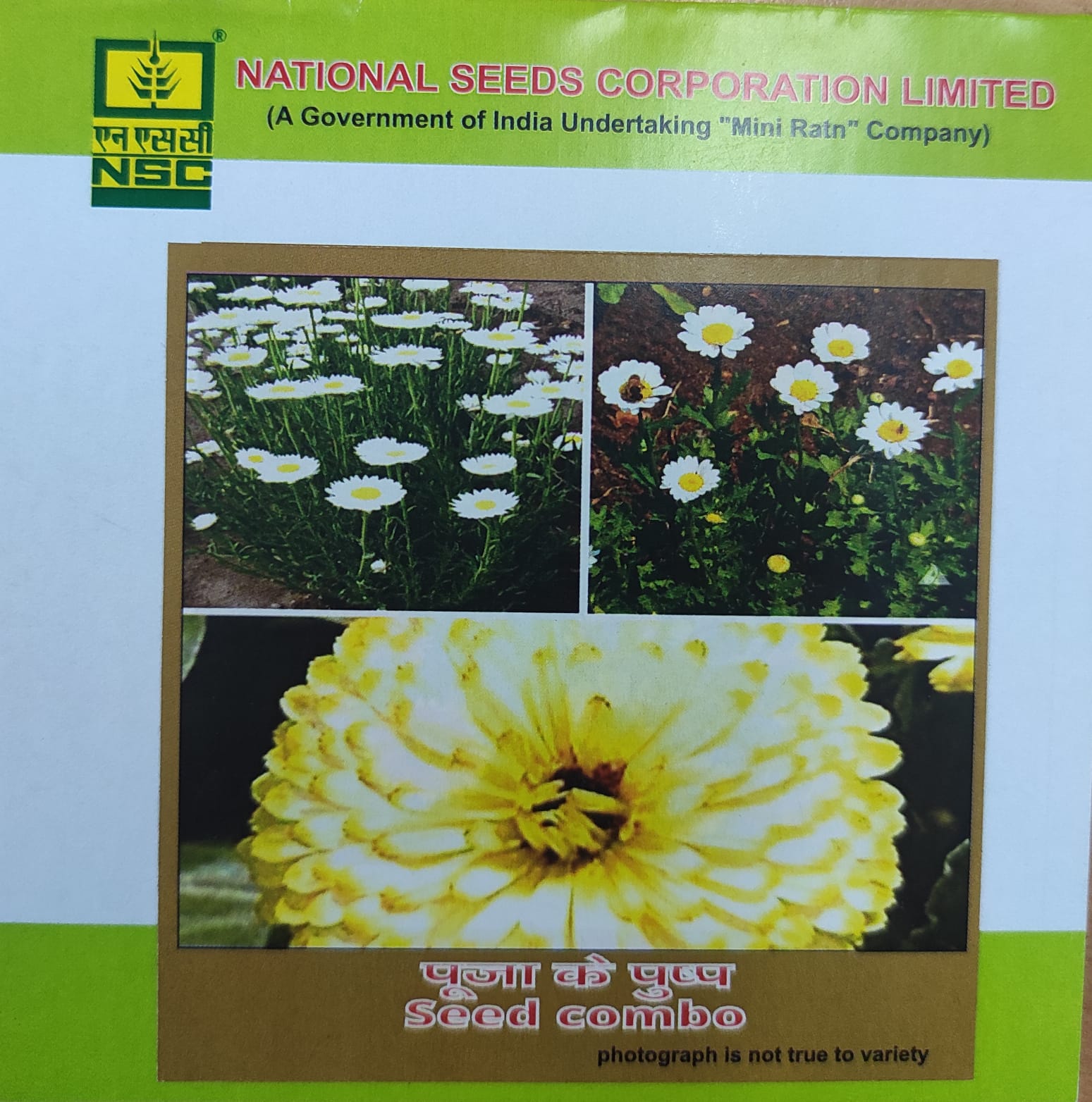 NSC Pooja flower seed  white - Combo