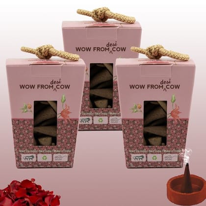 Nandi Panchgavya 100 Percent Cow Dung Rose Dhoop Cones (150 Pcs)