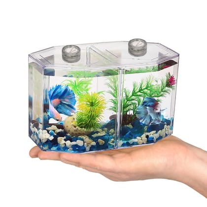Betta Dream Tank-BL - B05