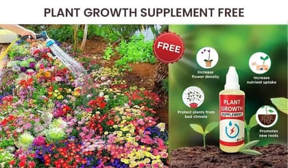 Wild Mix Flower Seeds Pack + Free Plant Growth Supplement