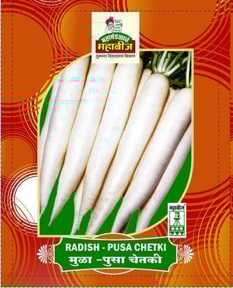 Mahabeej Radish / Radish Pusa Chetki  genetically pure seed 50 gm