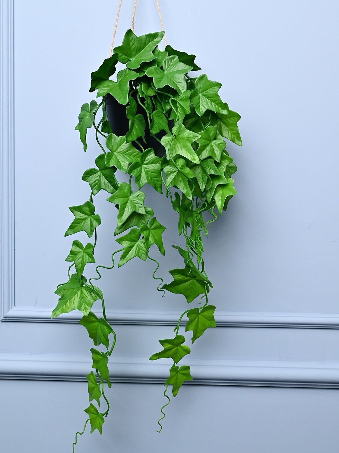 Green Hanging Planter - Cylindrical Shape