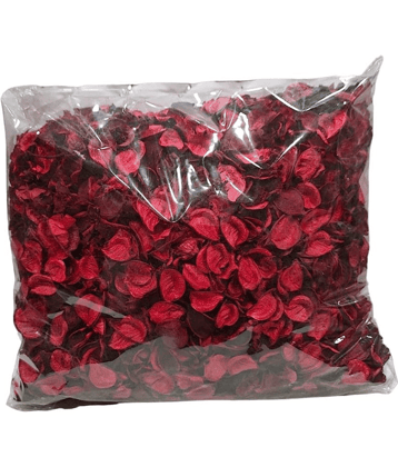 Green plant indoor - Red Wild Artificial Flower ( Pack of 1 )