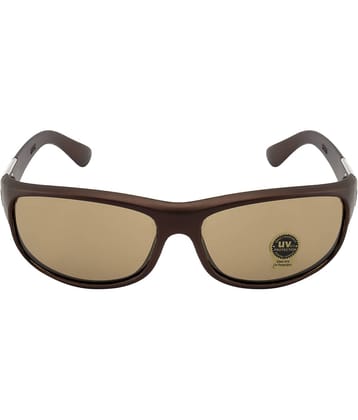 Fair-X Brown Wrap Around Sunglasses ( Pack of 1 )
