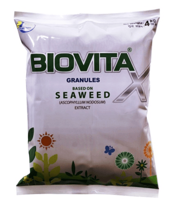BIOVITA - X GRANULES