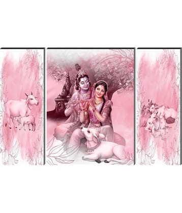 Saf Lord Radha Krishna ji Religious wall hanging MDF Painting