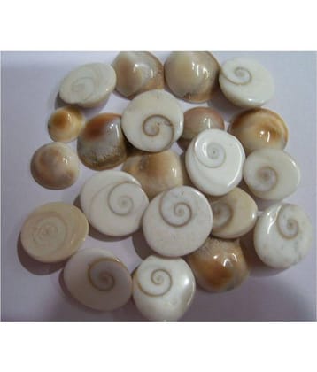 Gomati Chakra21 Pieces