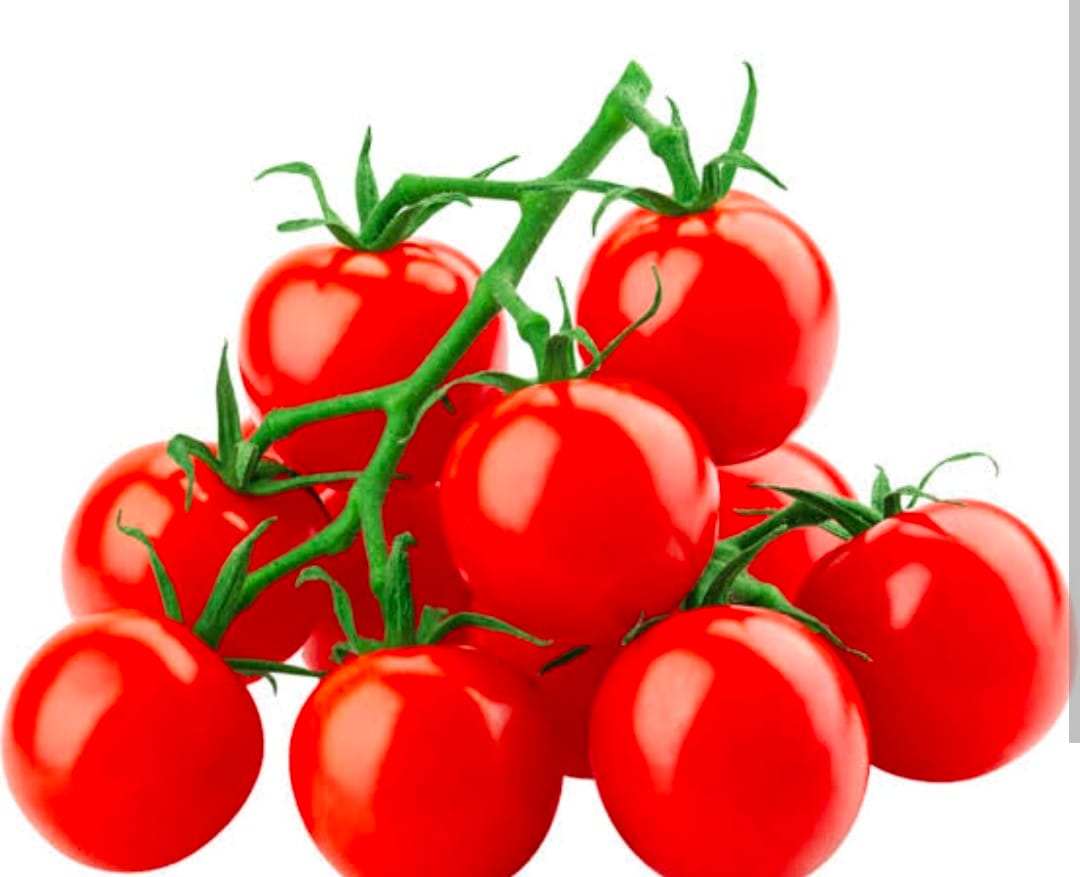Tomato
