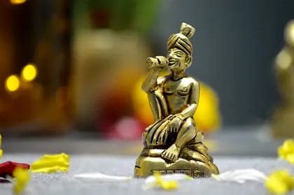 STYLISH MAN for Home Décor  by Snova Enterprises