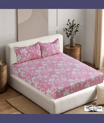 Welhouse India Cotton Abstract 1 Double King Size Bedsheet with 2 Pillow Covers - Beige