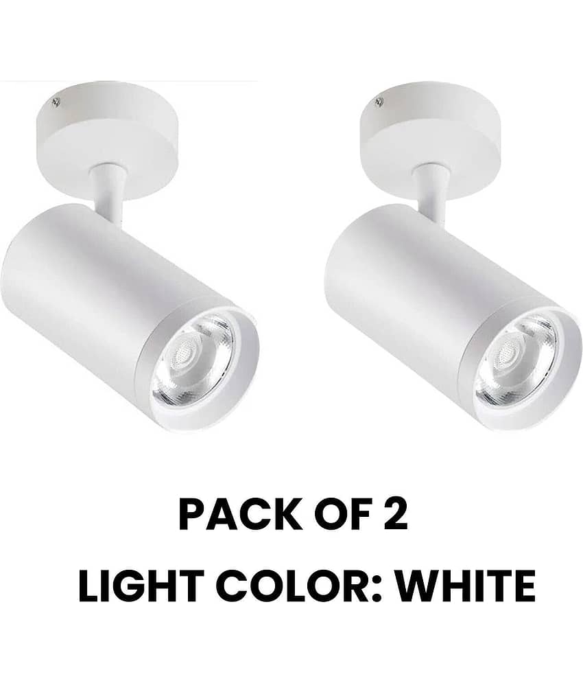 ZESTRUM Plastic Ceiling Lights - Pack of 2