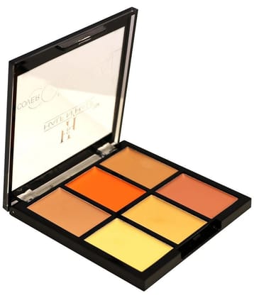 Half N Half Cover Concealer Skin Beauty, Makeup Pressed Powder Palette, 06 Frappe (9.6gm)