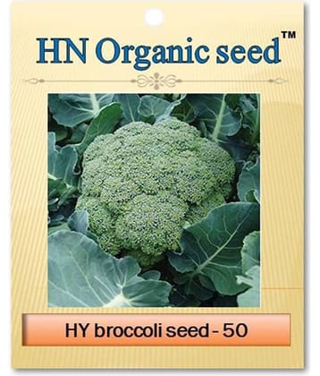 homeagro - Vegetable Seeds ( 20 )